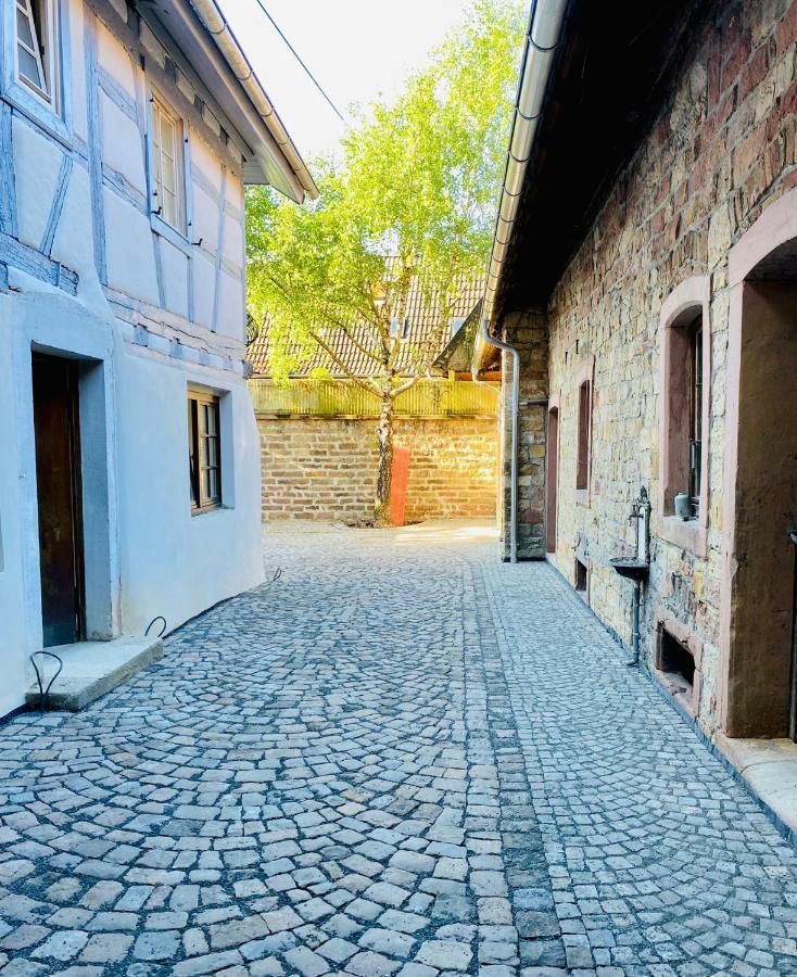 Vintner Suites Neustadt an der Weinstraße Exterior photo